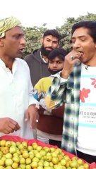 Funny Video Goga pasroori and Saleem albela || Fruite funny clip