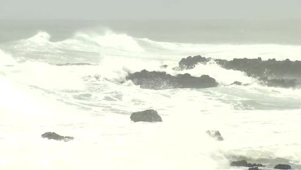 [날씨] 오늘도 남부 강한 비 계속...중부는 오후 소나기 / YTN