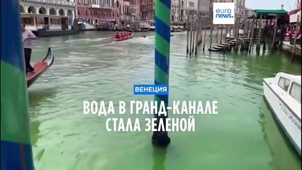 Вода Гранд-канала в Венеции окрасилась в зеленый цвет