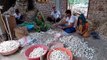 Bumper production of garlic in Jhalawar district