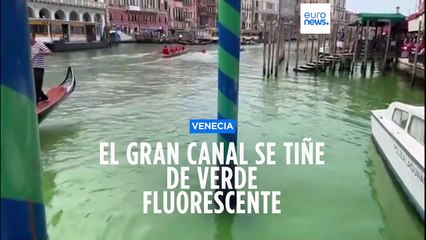 Venecia | El Gran Canal se tiñe de verde fluorescente