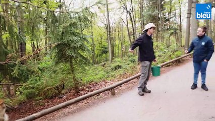 Petit déjeuner à la Montagne des Singes de Kintzheim 3/6