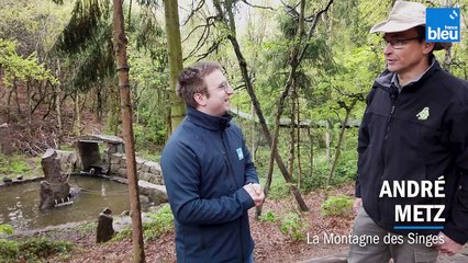 Petit déjeuner à la Montagne des Singes de Kintzheim 1/6