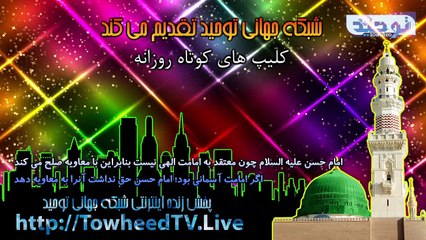 امام حسن علیه السلام چون معتقد به امامت الهی نیست بنابراین با معاویه صلح می کند