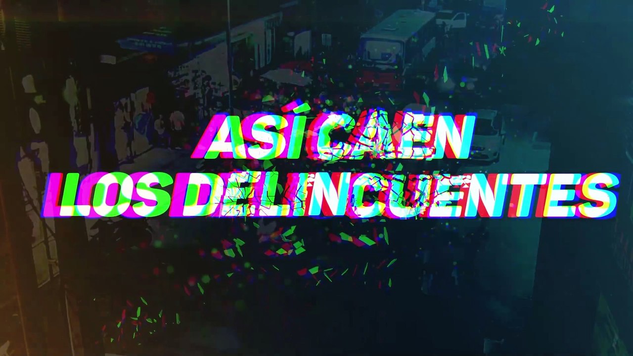programa 7