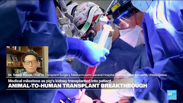 US surgeons transplant gene-edited pig kidney to patient in world first