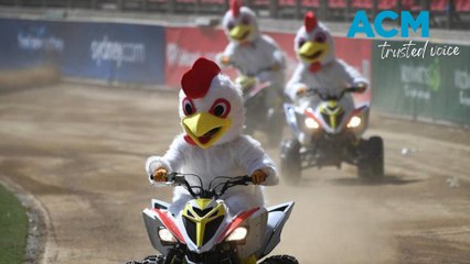 2024 Royal Easter Show: Bison Stampede, Chicken Run rehearse for opening