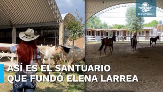 Cuacolandia: Así es el santuario para caballos que fundó la activista Elena Larrea