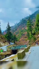 Kashmir Valley Vibes Beautiful View