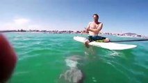#VIRAL: Calamar gigante ataca a surfista