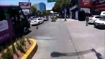 #VIDEO: Ciclista arriesga su vida para salvar a perro de ser atropellado en CDMX