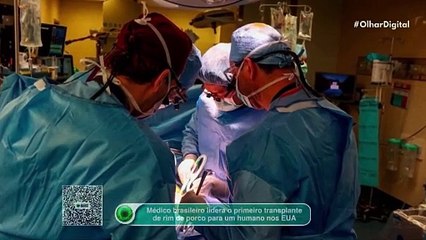 Médico brasileiro lidera o primeiro transplante de rim de porco para um humano nos EUA
