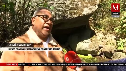 Río Magdalena: último río vivo de la Ciudad de México | Milenio Hábitat