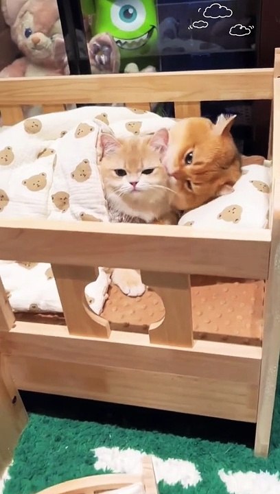 sweet mother 