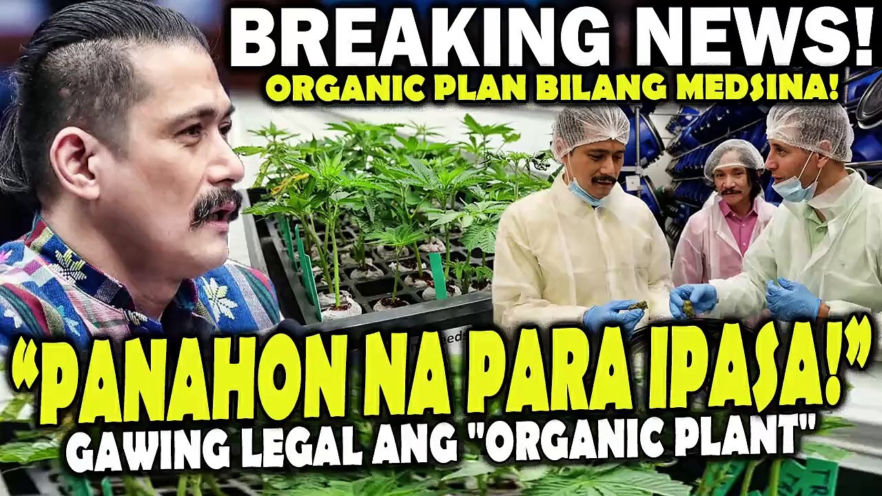 "ORGANIC PLANT" bilang medisina desidido ng isinusulong ni Sen. Robin para gawing legal.