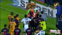 Bronca al Final del Tigres vs Chivas 1-0 Jornada 12 Ap 2017