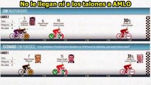 SENADORA EN PELIGRO por revelar financiamiento de los candidatos de Salinas y Cevallos.