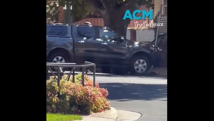 Heavily armed police arrest man after stand-off in Bendigo