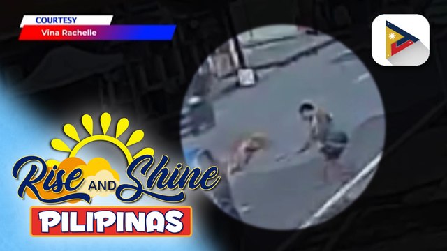 Pagpatay sa golden retriever na si Killua, hindi self-defense ayon sa PAWS