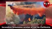 Incendios forestales azotan el sur de California