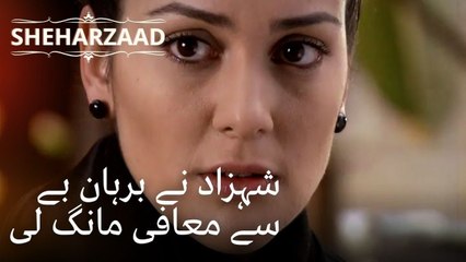 شہزاد نے برہان بے سے معافی مانگ لی ایک ہزار اور ایک راتیں - قسط 43