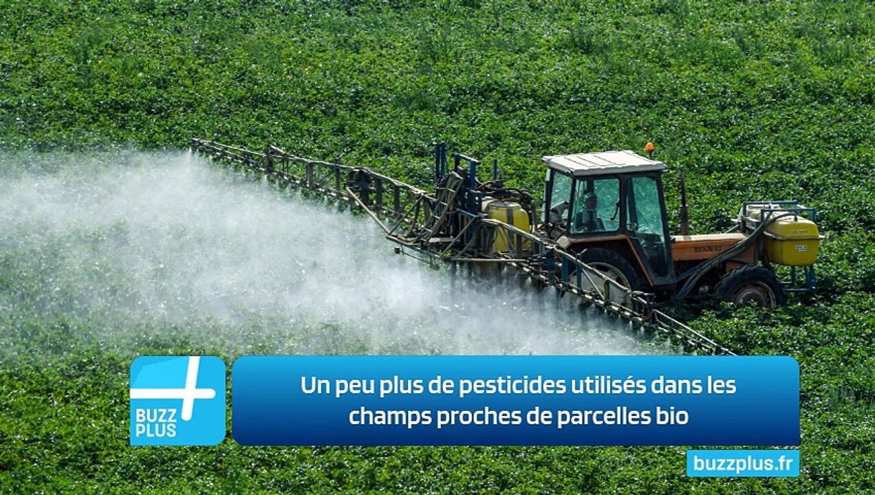 Un peu plus de pesticides utilisés dans les champs proches de parcelles bio