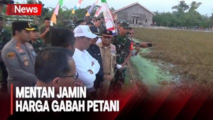 Sawah di Kendal Terendam Banjir, Mentan Jamin Harga Gabah Petani