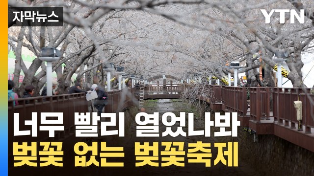 [자막뉴스] 너무 앞당겼나...진해 군항제, 벚꽃 없이 개문발차 / YTN