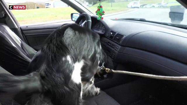 Contrôle anti-drogue sur les routes de Dordogne