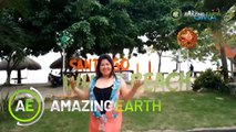 Amazing Earth: The World’s Leading Beach Destination in 2022! (Online Exclusives)