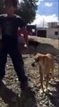 Niño y su perro bailan SCOOBY DOO PA PA