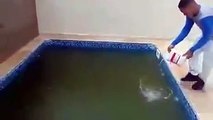 Como limpiar el agua de la Piscina en Segundos