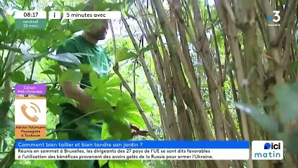 Cinq minutes avec un paysagiste toulousain