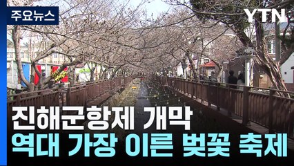 '연분홍빛 물결' 진해군항제 개막...벚꽃 개화는 아직 / YTN