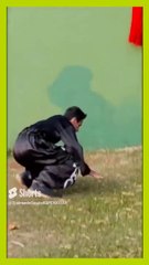 INCREDIBLE JUMP, CAT JUMP