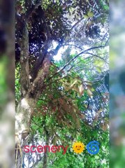 A Day In A Farmers Life