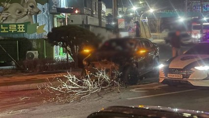 만취 운전해 고교생 숨지게 하고 뺑소니...30대 검거 / YTN