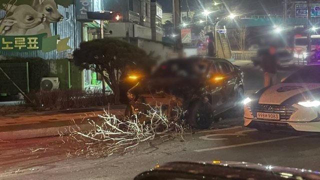 만취 운전해 고교생 숨지게 하고 뺑소니...30대 검거 / YTN