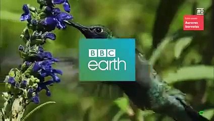 BBC Earth: Auroras boreales