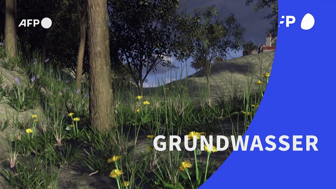 Videografik: So wird aus Regen trinkbares Grundwasser