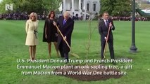 Trump, Macron plant a tree at the White House to begin state visit