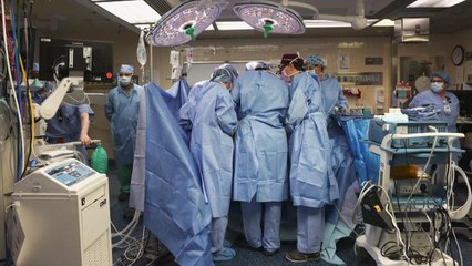 미국 60대 환자 유전자변형 돼지신장 이식..."환자상태 양호" / YTN