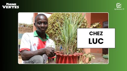 Mains vertes : Chez Luc