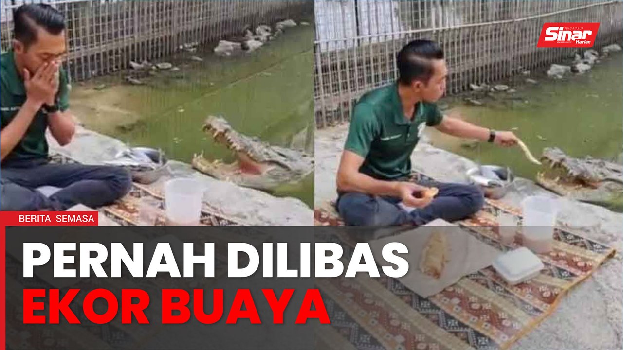 Pernah dilibas ekor buaya hingga sebulan tak boleh jalan