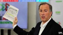 MEADE responde ante el mensaje de nestora salgado