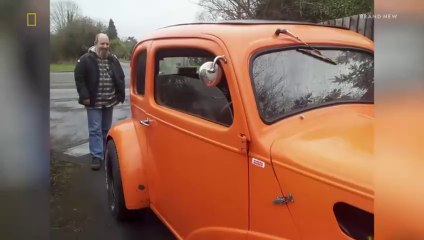 CAR.SOS.S12E01 Ford Pop Hot Rod