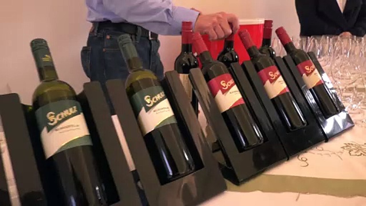 Schloss Marchegg Vernissage Vielfalt