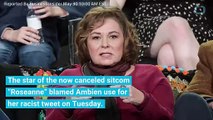 Roseanne Blames Ambien For Her Racist Tweet