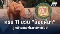 สวนสัตว์โคราชจัดฉลองวันเกิด 11 ขวบ 