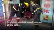 Firefighters do CPR on cats and dogs rescued from burning pet store